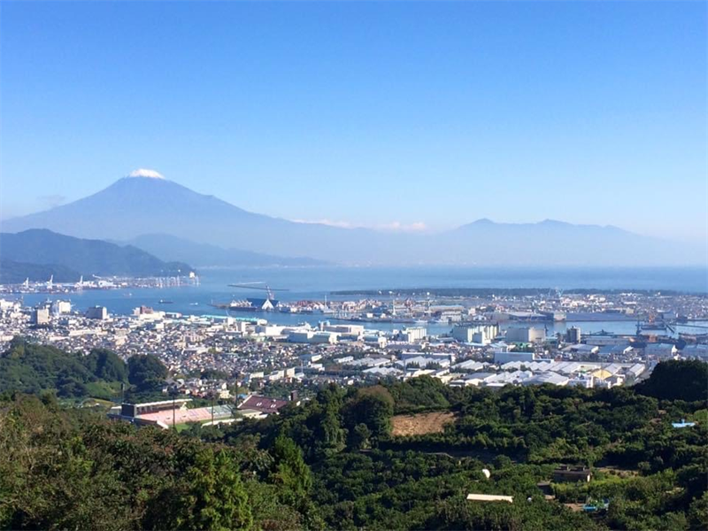 清水区 不動産売却